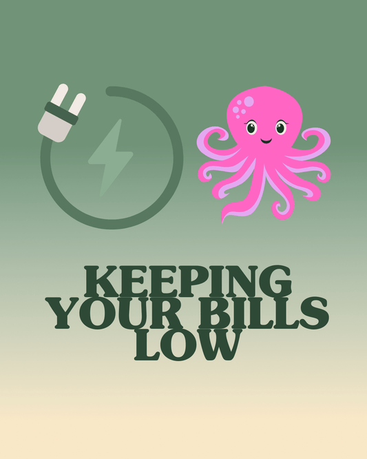 Winter Energy Saving With Your Hot Tub: How Octopus Agile Can Cut Your Running Costs - New Forest Hot Tubs